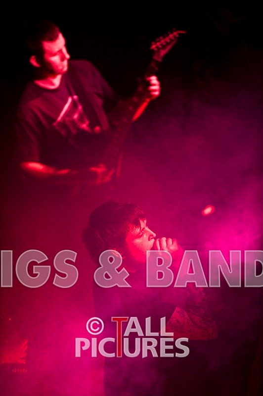 Brutus Stonefist-5 - BRUTUS STONEFIST at RoA-2