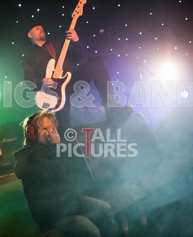 Peppered Ant Legs-152 - PEPPERED ANT LEGS