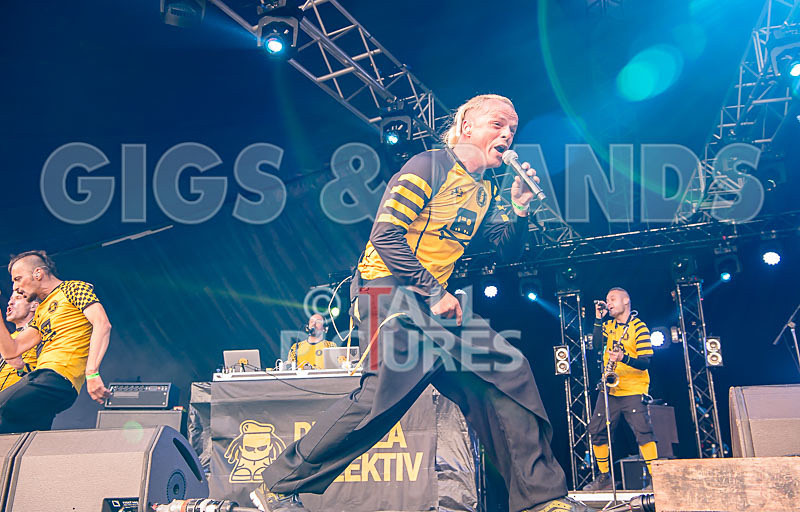 Dubioza Kolektiv-40 - DUBIOZA KOLEKTIV