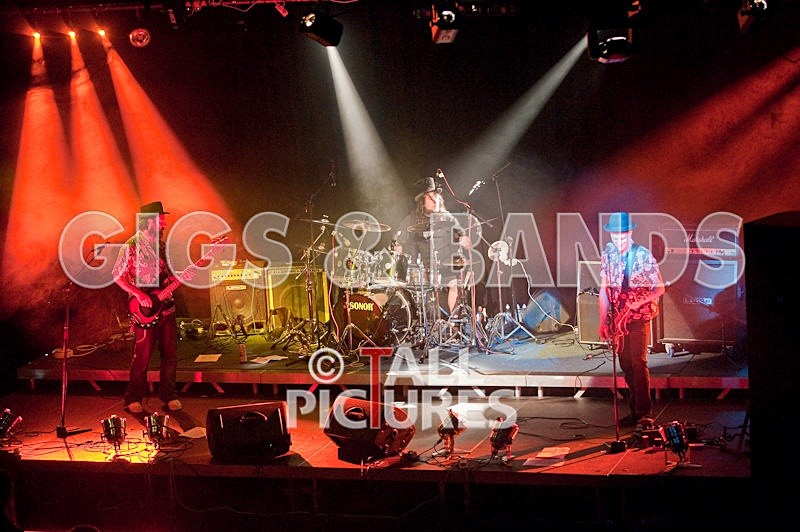 Peppered Ant Legs-14 - PEPPERED ANT LEGS at RoA-3