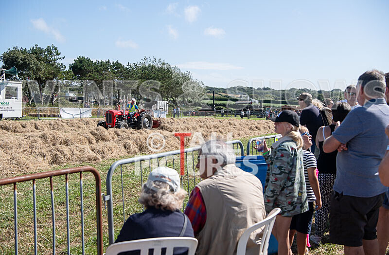Guernsey Agricultural Show 2021-208 - GUERNSEY AGRICULTURAL SHOW 2021