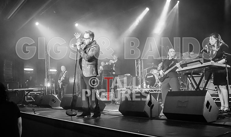 Harry Dean Junior and the New Breed-32 - HARRY DEAN JUNIOR AND THE NEW BREED