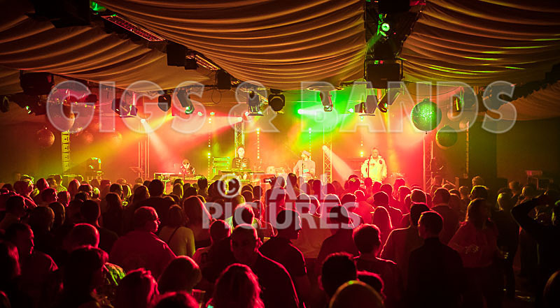 Fade2Grey-336 - FADE2GREY