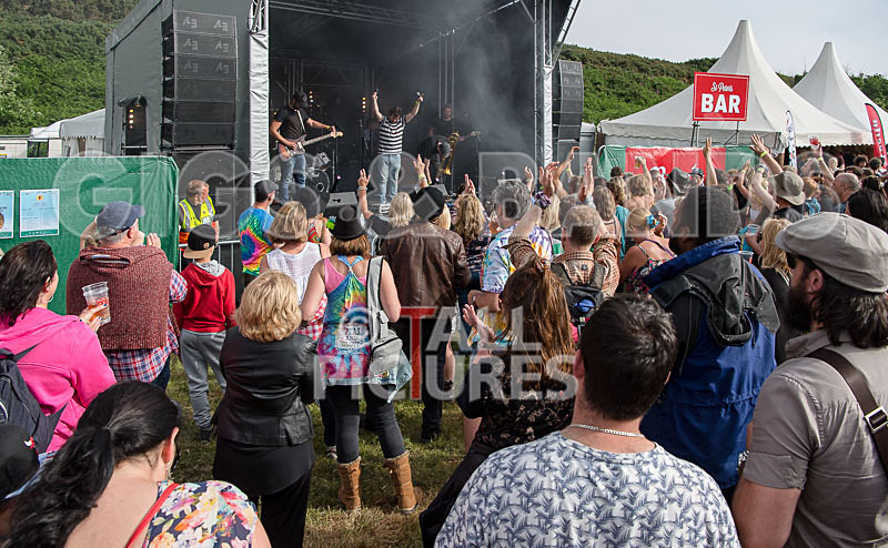 Pirate Party Brigade-37 - PIRATE PARTY PARADE