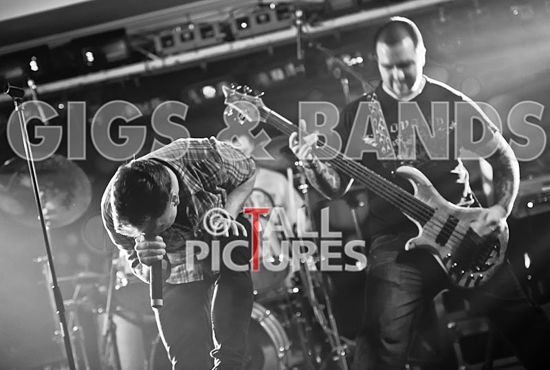 Destria-131 - DESTRIA