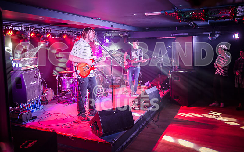 To the Woods-175 - TO THE WOODS