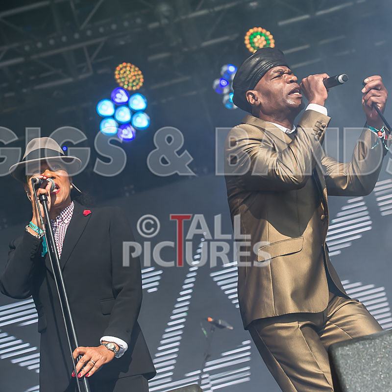 The Selecter-50 - THE SELECTER