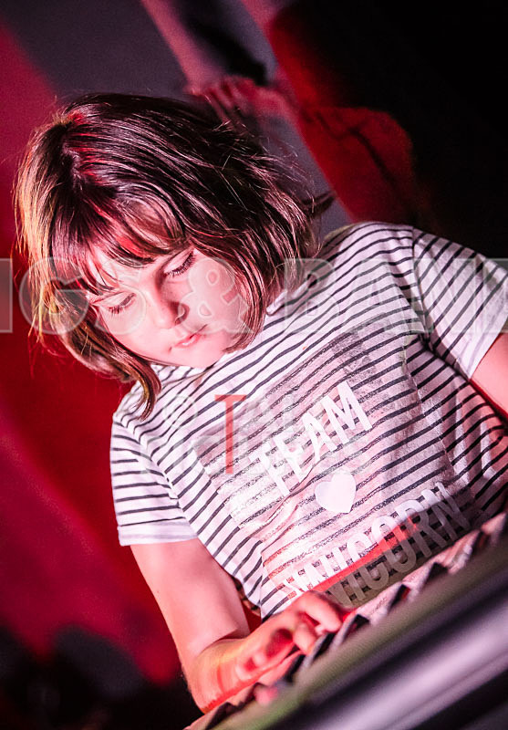 The Flaming Flamingos-12 - THE FLAMING FLAMINGOES