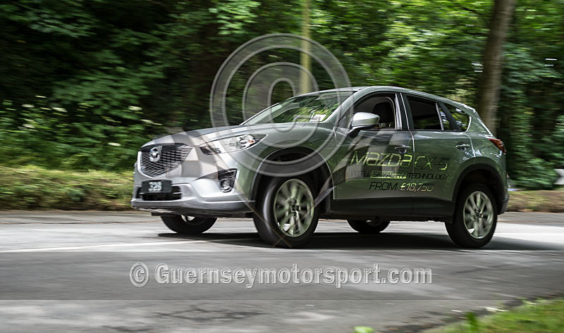 Heritage Charity Hillclimb_2014-145 - HERITAGE CHARITY HILL CLIMB 2014