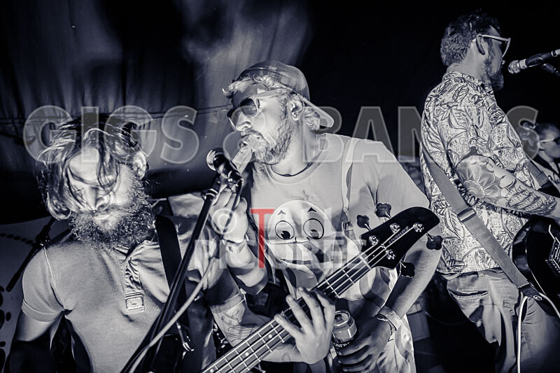 Honest Crooks-262 - HONEST CROOKS