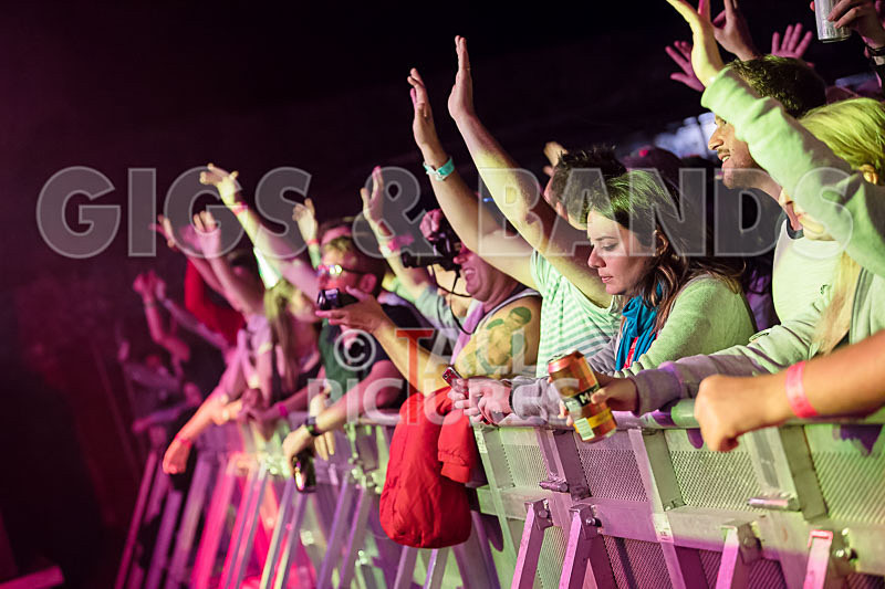 Vale Earth Fair 2017_SCENE-70 - VALE EARTH FAIR 2017_THE SCENE