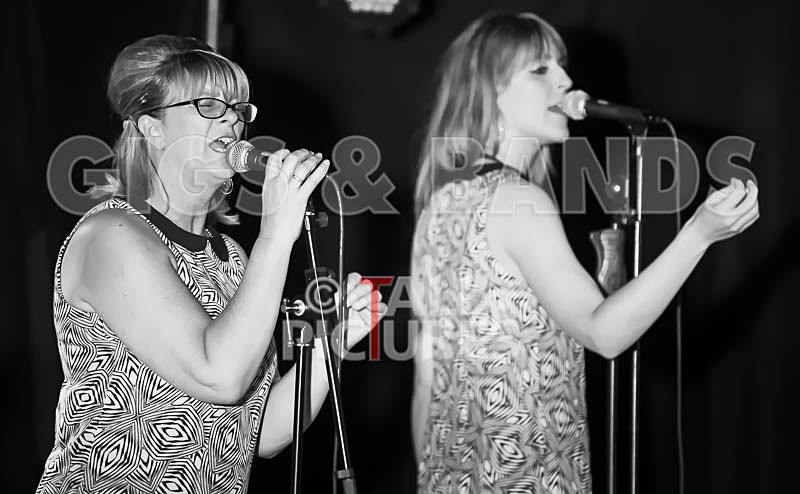 The Blondettes-22 - THE BLONDETTES