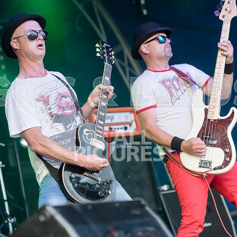 Peppered Ant Legs-255 - PEPPERED ANT LEGS