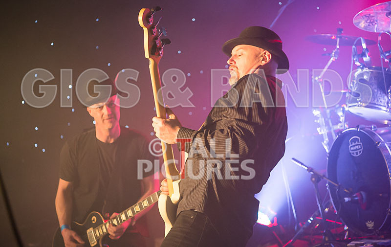 Peppered Ant Legs-210 - PEPPERED ANT LEGS