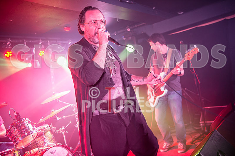 Gay Army-342 - GAY ARMY