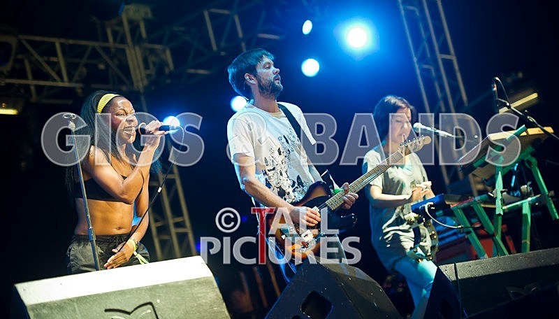 The Go Team-24 - THE GO! TEAM