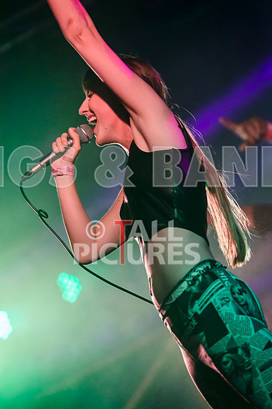 FireFarm-24 - FIREFARM