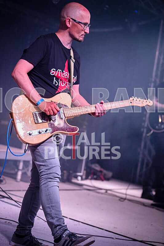 Foxy Stoat Seeks Pig-12 - FOXY STOAT SEEKS PIG