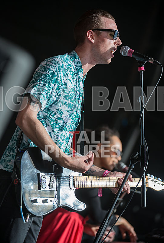 The Skints-8 - THE SKINTS