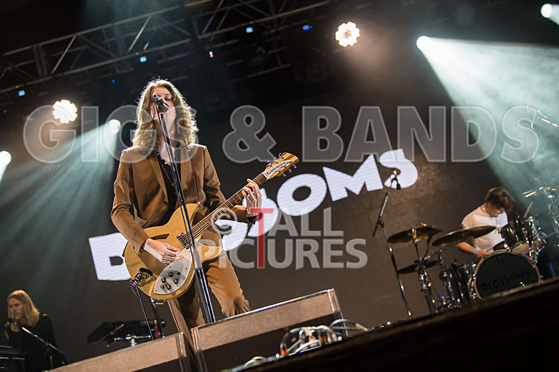 Blossoms-42 - BLOSSOMS