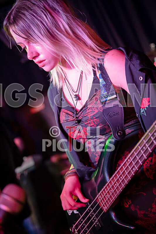 Road Kill Rubber Duckies-21 - ROAD KILL RUBBER DUCKIES