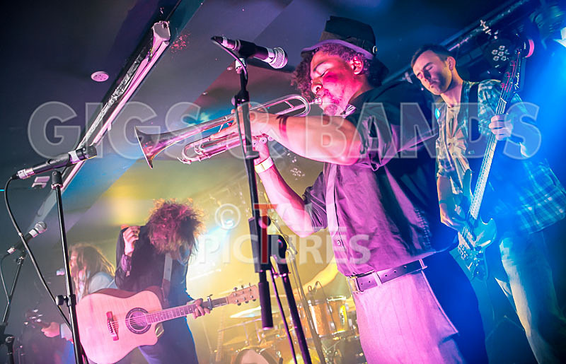 The Recks-245 - THE RECKS