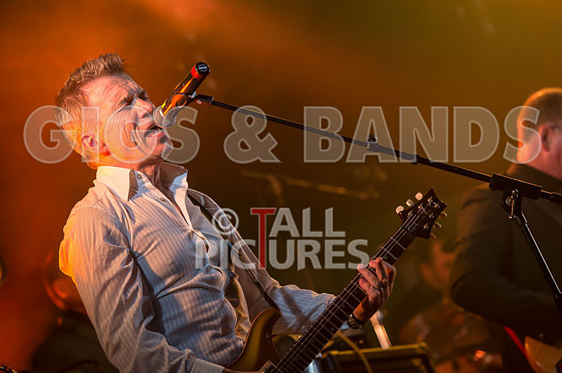 King Rat and the Soul Cats-181 - KING RAT AND THE SOUL CATS