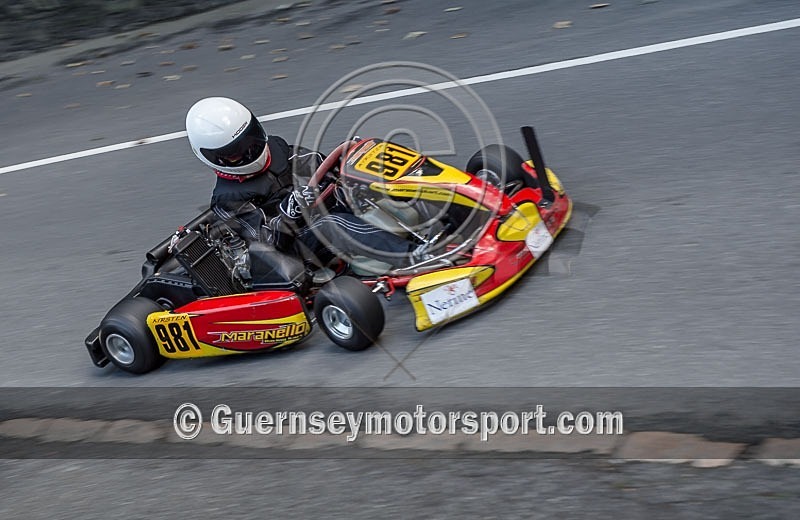 Hill Climb_07-09-2013_KART-91 - KARTS_07-09-2013