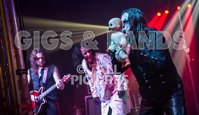 Gallus Cooper-31 - GALLUS COOPER