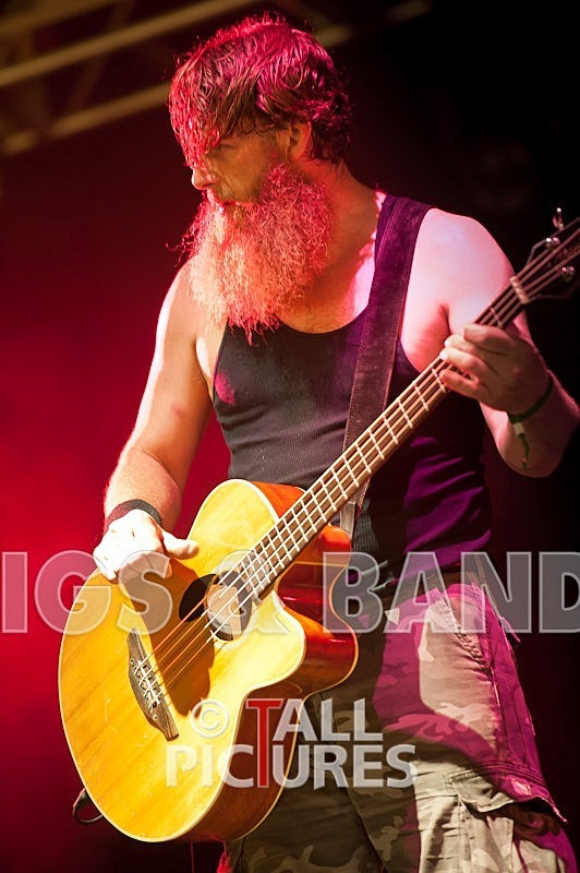 Hayseed Dixie-53 - HAYSEED DIXIE