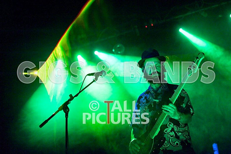 Peppered Ant Legs-19 - PEPPERED ANT LEGS at RoA-3