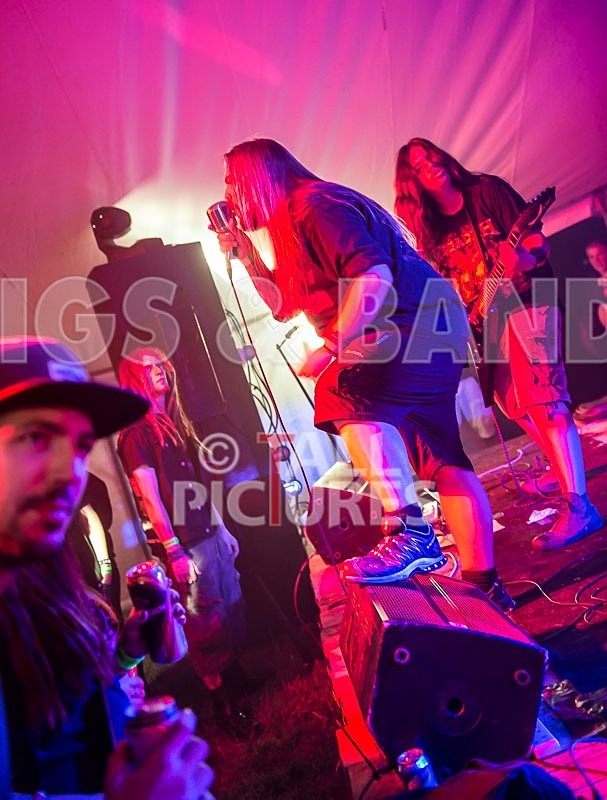 Stone Em All-50 - STONE EM ALL