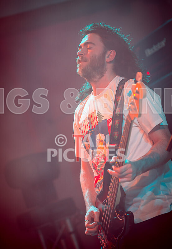 Pigsx7-14 - PIGS PIGS PIGS PIGS PIGS PIGS PIGS