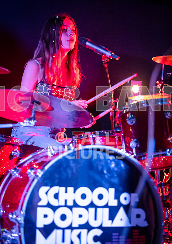 12 Gauge-8 - 12 GAUGE