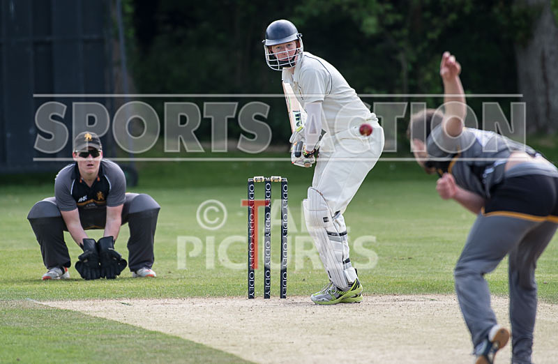 Cricket at KGV_27-05-2017-24 - CRICKET AT KGV_27-05-2017