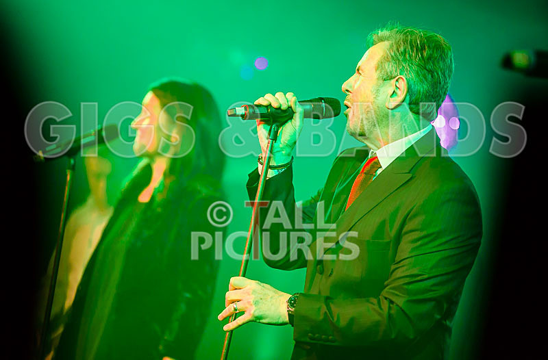 King Rat  the Soul Cats-350 - KING RAT AND THE SOUL CATS