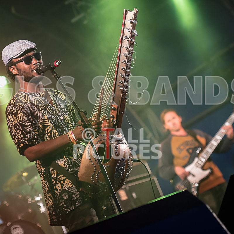 Joe Driscoll Sekou Kouyate-23 - JOE DRISCOLL & SEKOU KOUYATE