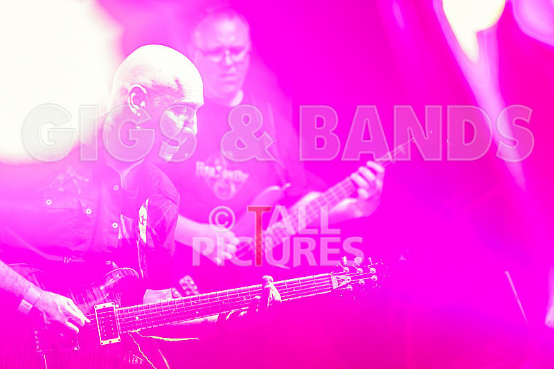 Frail Sincerity-9 - FRAIL SINCERITY