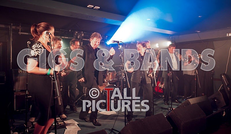 King Rat and the Soul Cats-72 - KING RAT & THE SOUL CATS