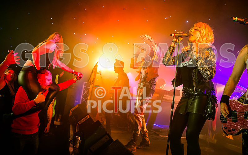 That 80s Rock Show-20 - HAUNTED HOUSE 2016 - SATURDAY'S PARTY