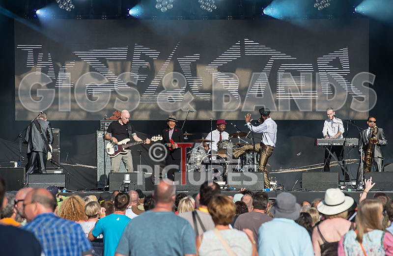 The Selecter-72 - THE SELECTER