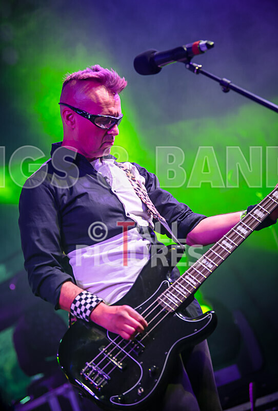 The Risk-444 - THE RISK