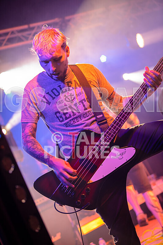 Granite Wolf-77 - GRANITE WOLF