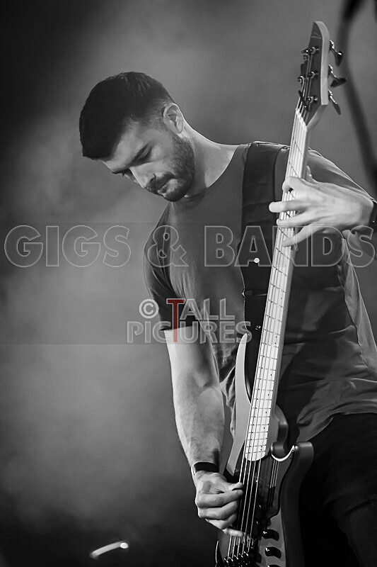 Demise of Sanity-240 - DEMISE OF SANITY