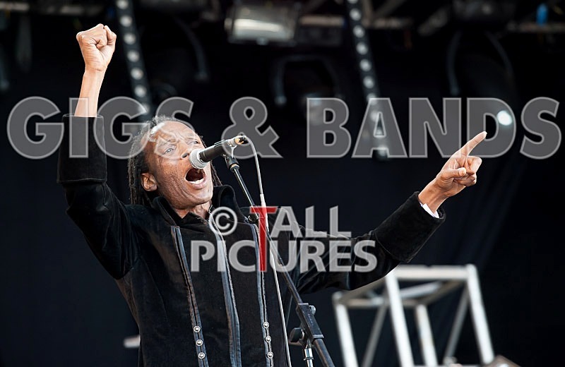 The Beat-30 - THE BEAT