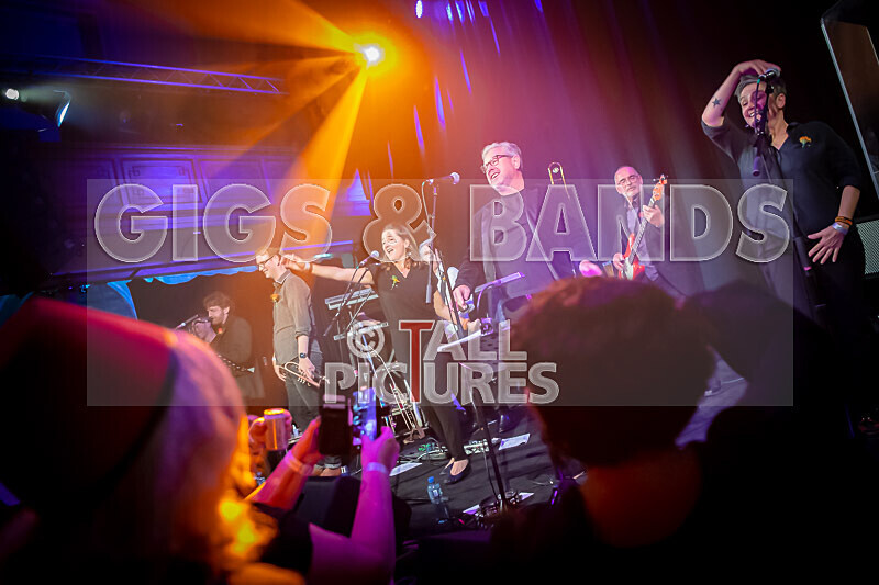 King Rat the Soul Cats-492 - KING RAT & THE SOUL CATS