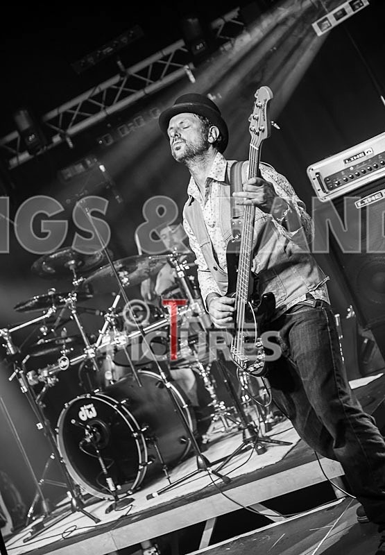 Peppered Ant Legs_Chaos8-5 - PEPPERED ANT LEGS