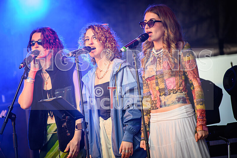 Elysium-330 - ELYSIUM