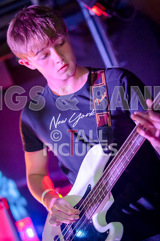 12 Gauge-6 - 12 GAUGE