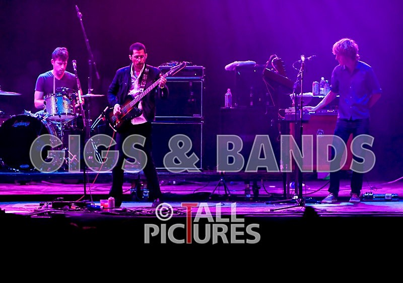 We are Scientists-8 - WE ARE SCIENTISTS